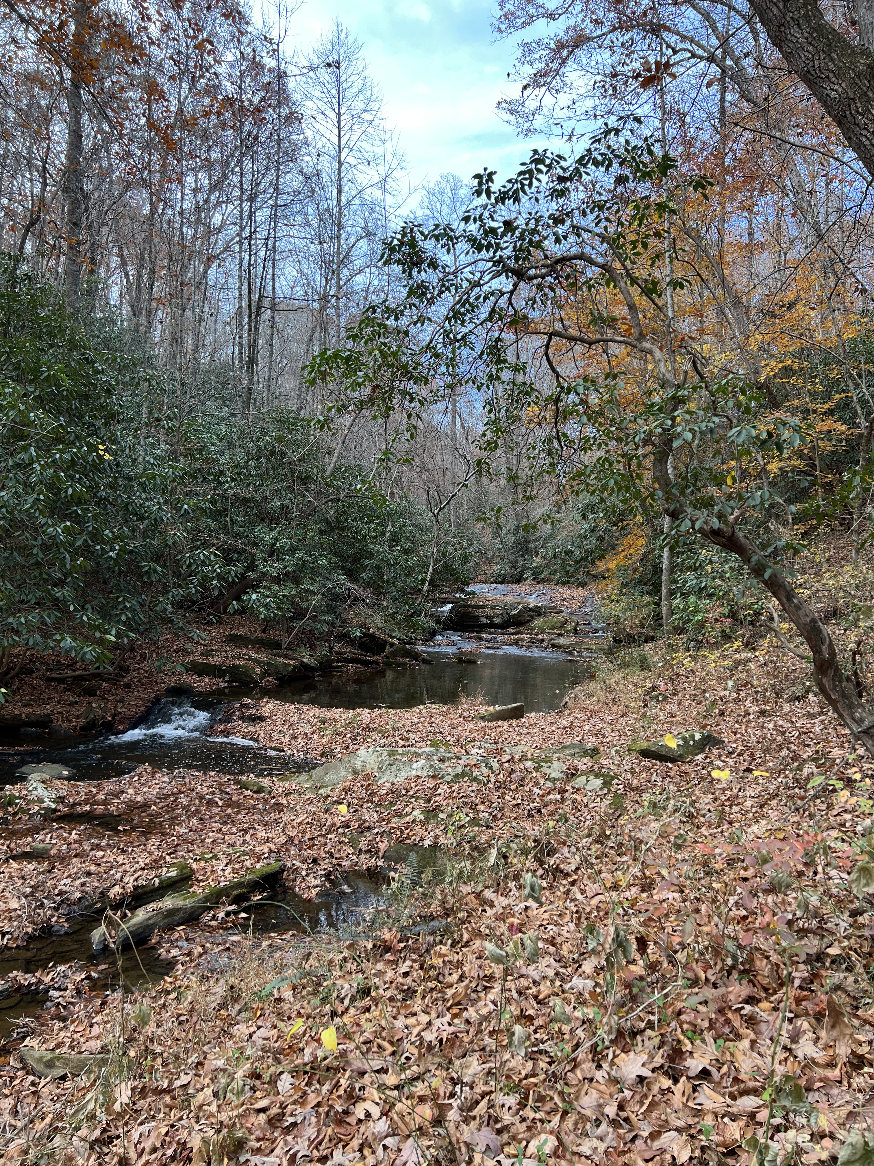 ./2023/13 - Elkin/IMG_0539.jpg